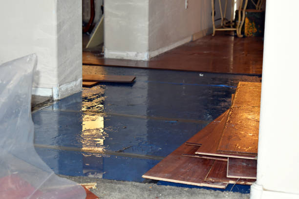 Professional Basement Water Removal technician working in Saranac, MI
