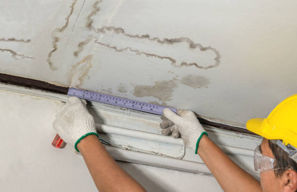 Reliable Basement Water Removal contractor in Saranac, MI by Water Damage Irwin